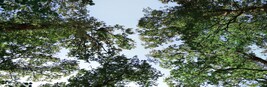 Ecovero™